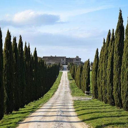 Cozy Home In Countryside Asciano Siena -Renovated! 외부 사진