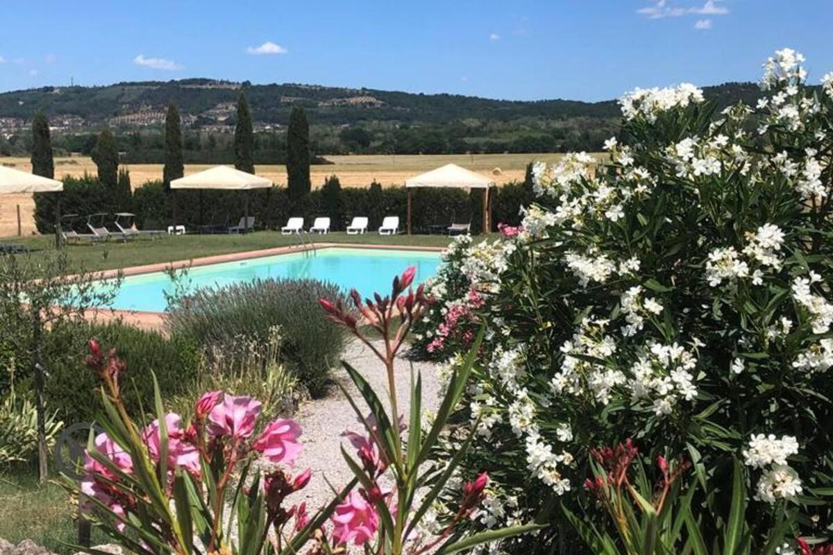 Cozy Home In Countryside Asciano Siena -Renovated! 외부 사진